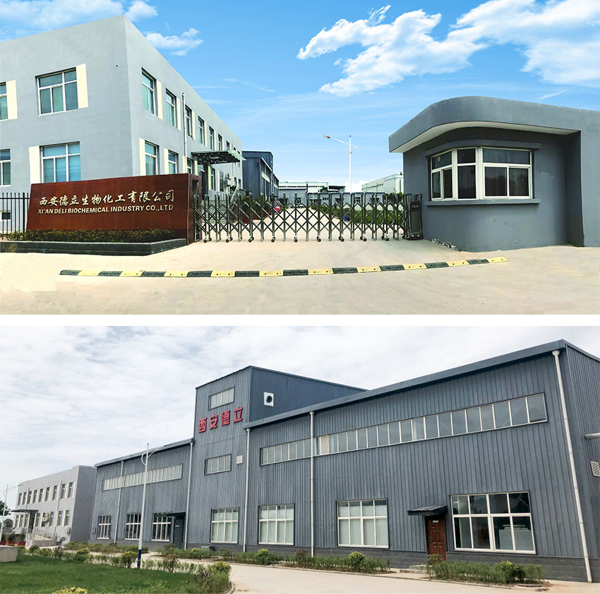 Xi'an Deli Biochemical Industry Co., Ltd.: Vezető innováció a ciklodextrin származékokban, felhatalmazva a gyógyszeripart