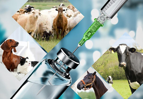 Az állatgyógyászati ​​gyógyszerek javítása hidroxi -propil -betadex segítségével
